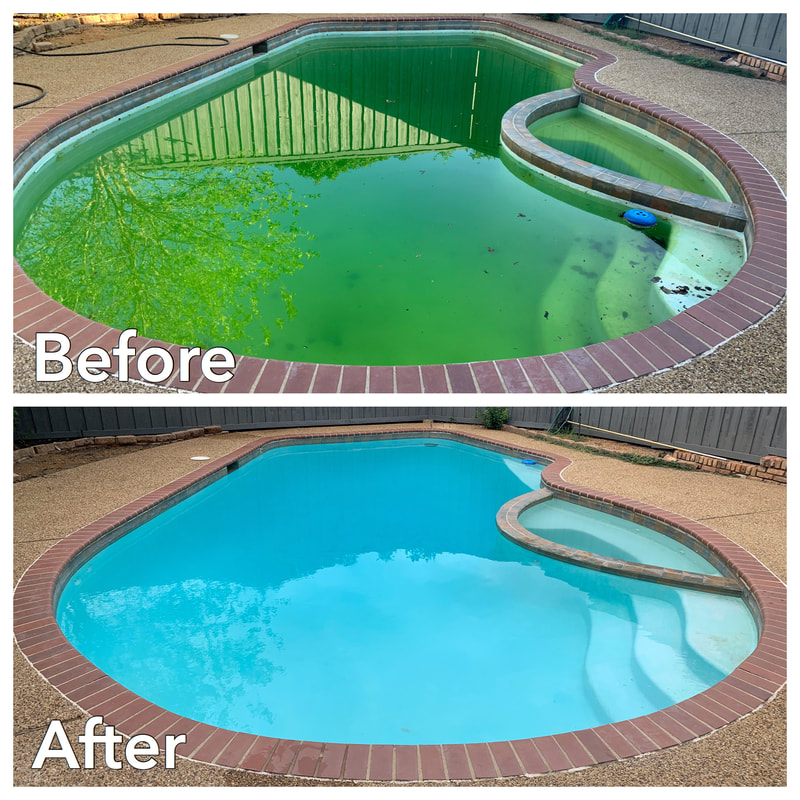 before and after of green pool cleaning service