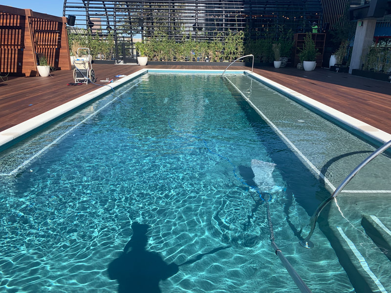 dallas commercial pool cleaning company 